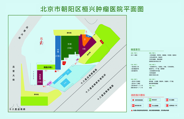 操死了大鸡吧进来小视频射了北京市朝阳区桓兴肿瘤医院平面图